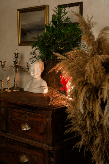 Где живут птички?