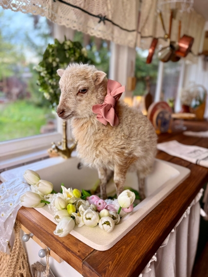 Фотодача Kalina