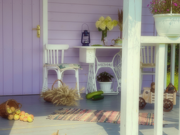 Дом_Кот_Быт