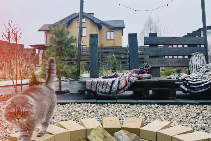 Дом с характером