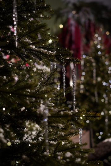 Фотостудия "Век" в усадьбе XVII века