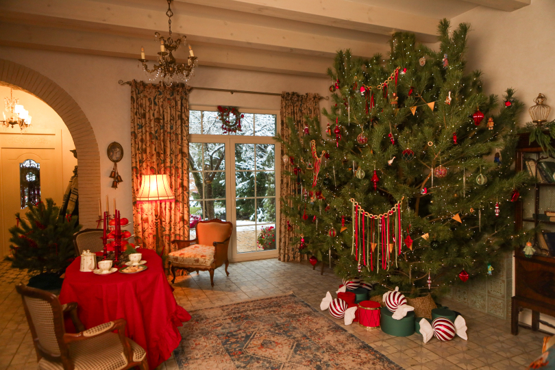 Villa Rossa - Фотодом Балашиха (Вилла Росса)