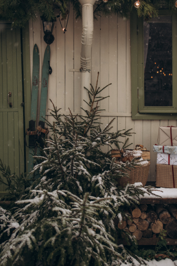 фотостудия PHOTO_DACHA_KRATOVO