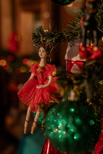 Фотодом в Пушкино