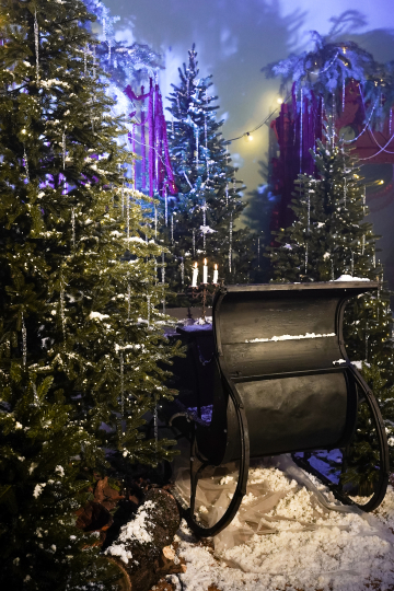 Фотостудия "Век" в усадьбе XVII века