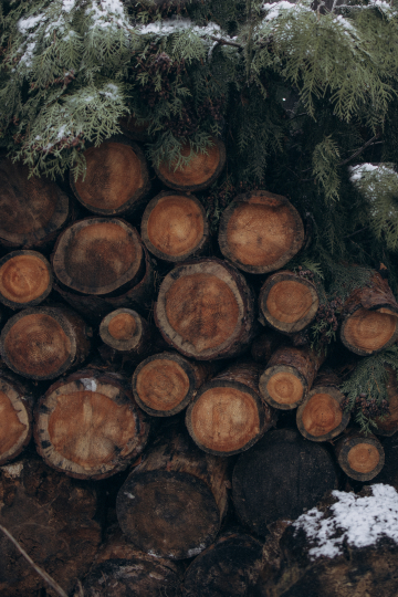 фотостудия PHOTO_DACHA_KRATOVO