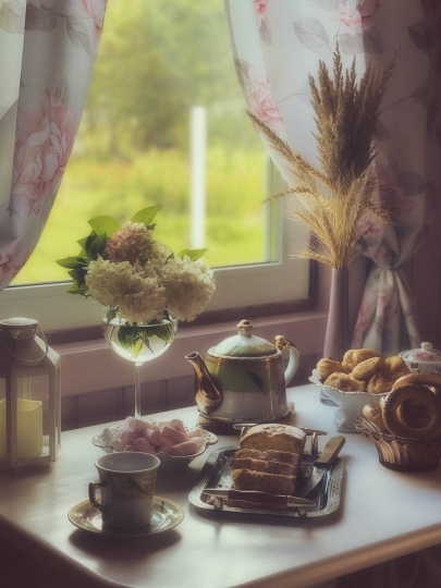 Дом_Кот_Быт