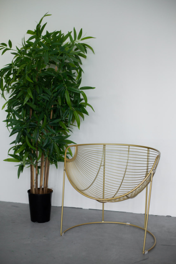 Фотофабрика Студия