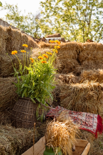 Фотодача Kalina