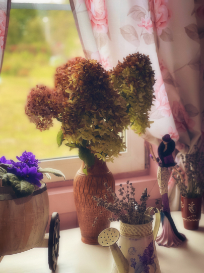 Дом_Кот_Быт