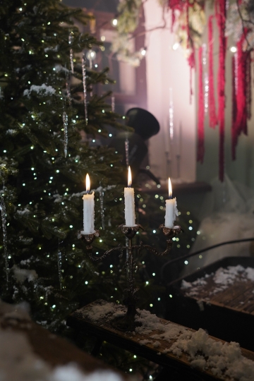 Фотостудия "Век" в усадьбе XVII века