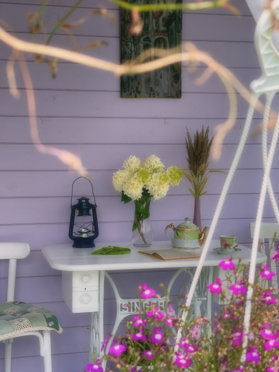 Дом_Кот_Быт