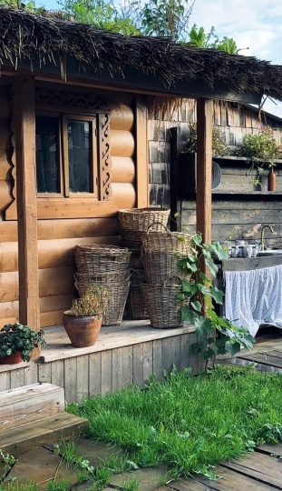 Дачные истории