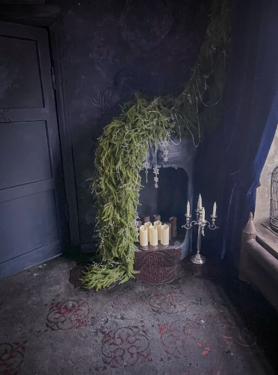 Эхо-локация