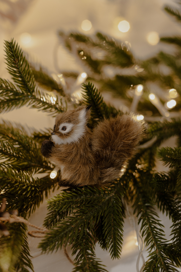 Фотостудия "Мгновение"