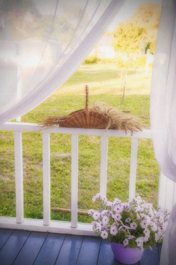 Дом_Кот_Быт