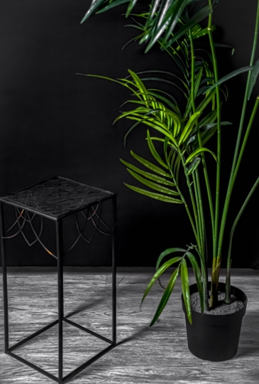 Фотостудия "SOFI"