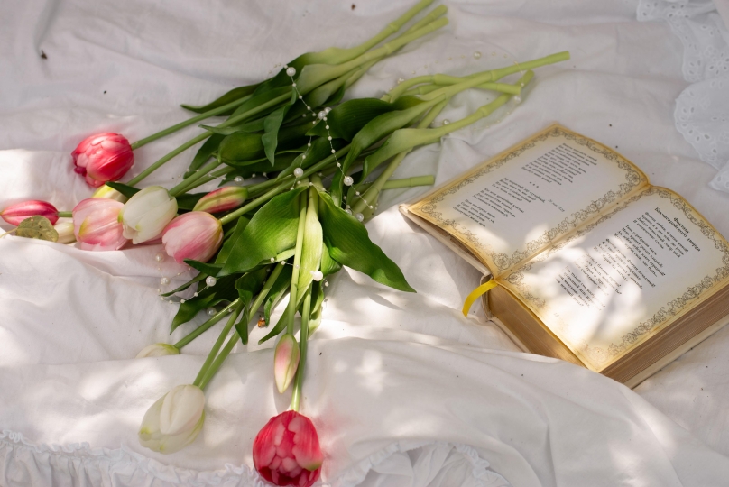 Фотодача Kalina