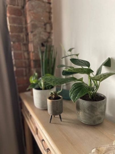 Арт-пространство Цветочный стиль на Покровке