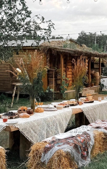 Дачные истории