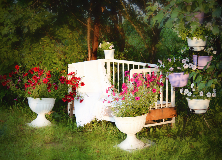 Дом_Кот_Быт