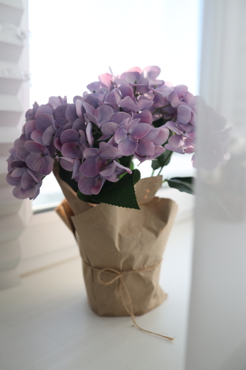 Фотостудия "Шоколад" рп Селятино