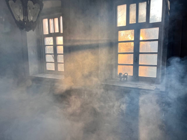 Эхо-локация