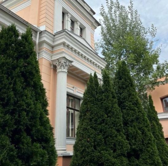 Особняк Души