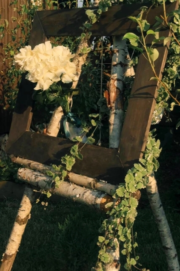 Дачные истории