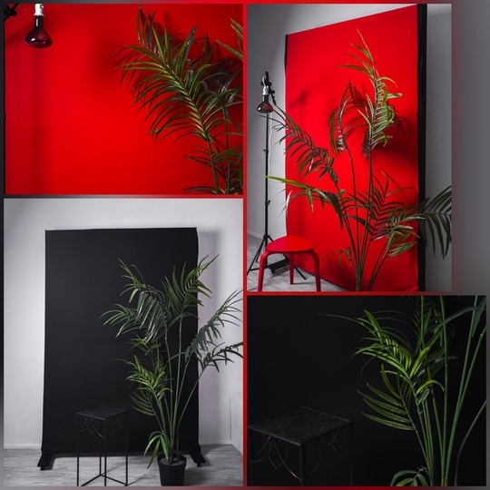 Фотостудия "SOFI"