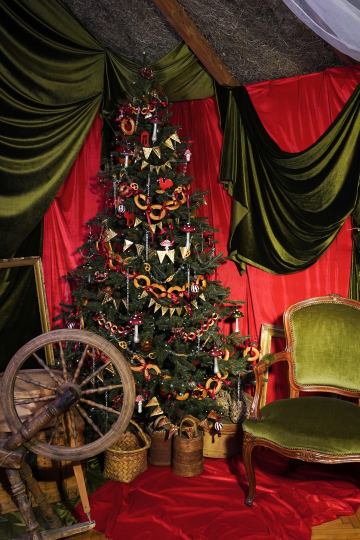 Фотостудия "Век" в усадьбе XVII века