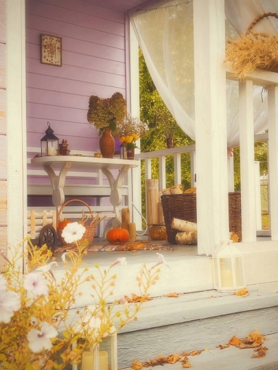 Дом_Кот_Быт