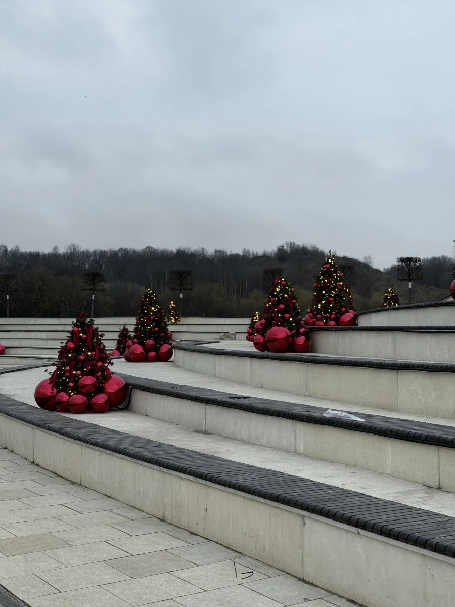 Каток на Царской набережной