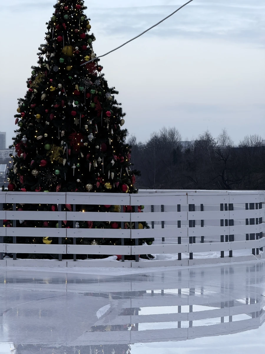 Каток на Царской набережной
