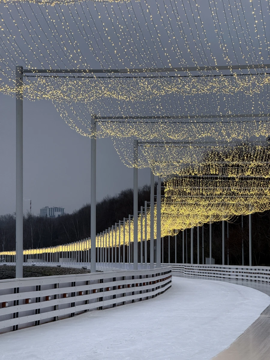 Каток на Царской набережной