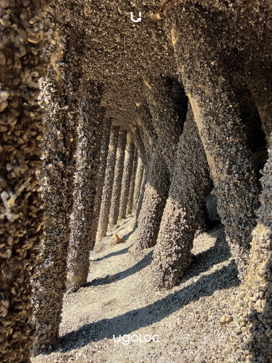 Тушинский Шлюз №7