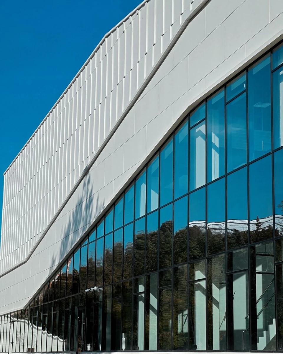 Академия спорта Динамо