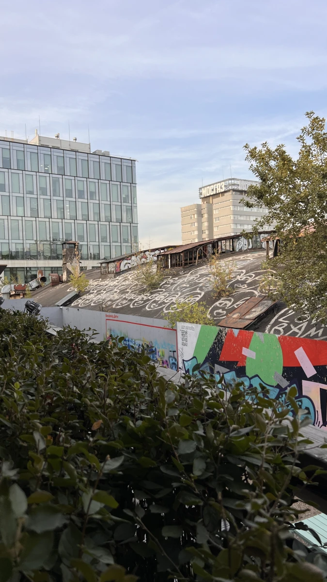 Разрисованная крыша на Винзаводе