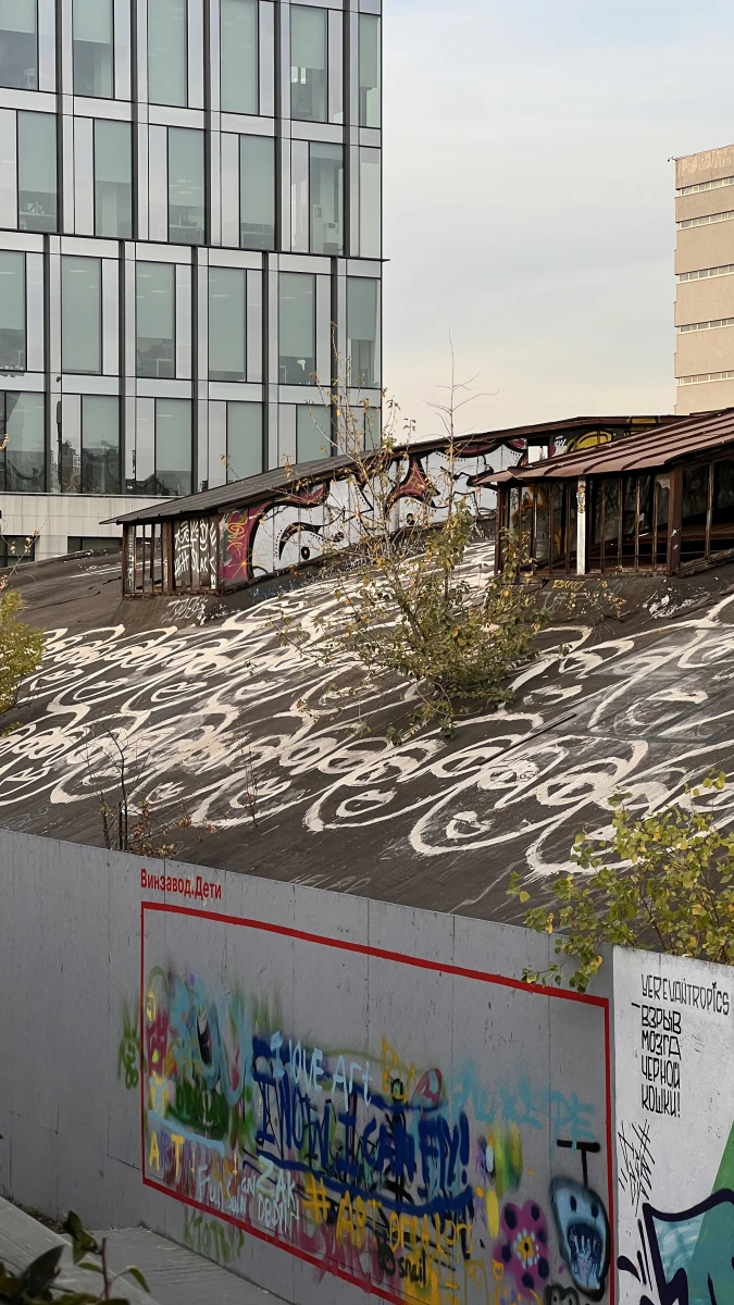 Разрисованная крыша на Винзаводе