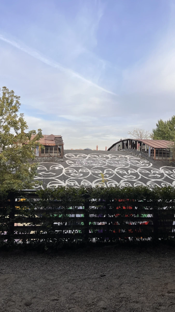 Разрисованная крыша на Винзаводе