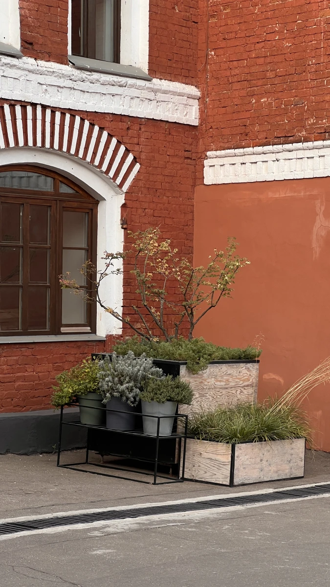 Красивый фасад с небольшим деревом