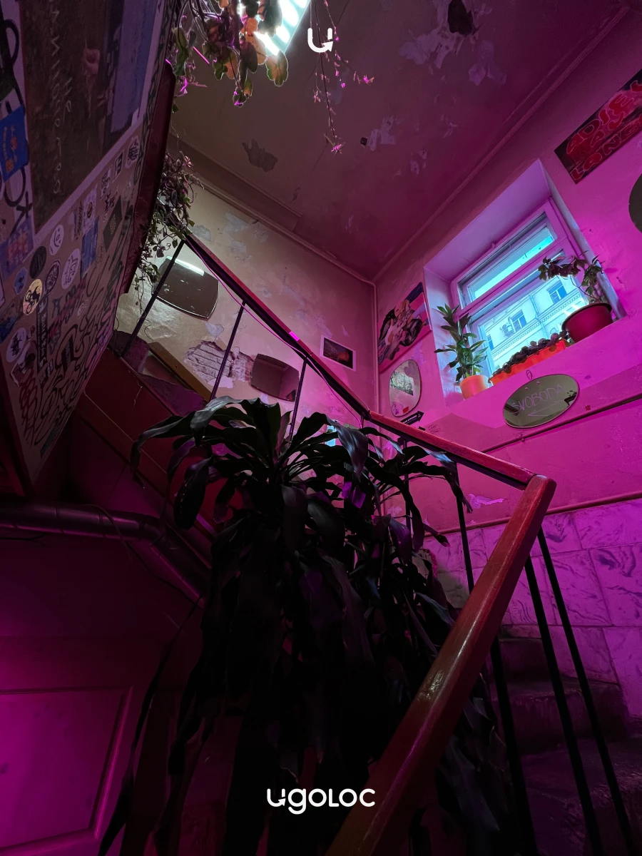 Кафе "Квартира 37"