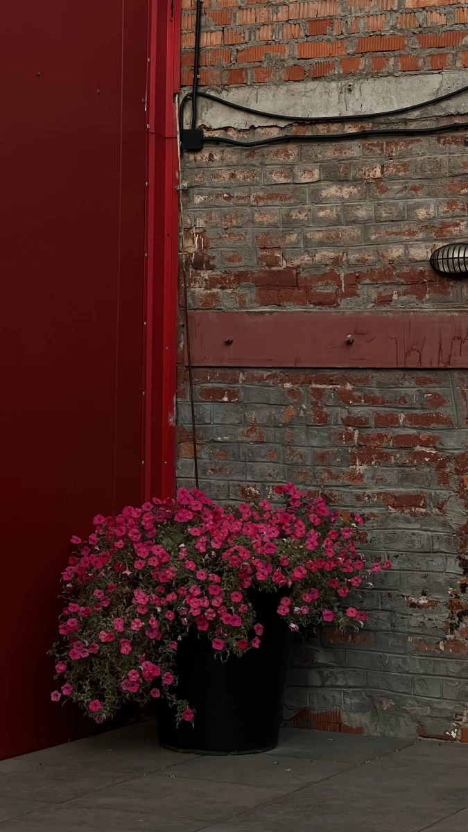 Гладкая красная стена строения на Артплее