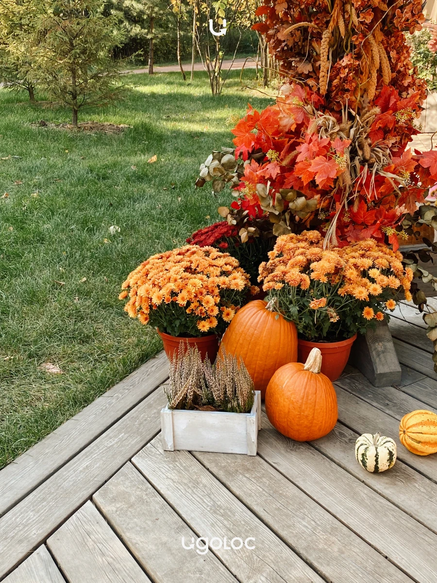 Кофейня "На Опушке"