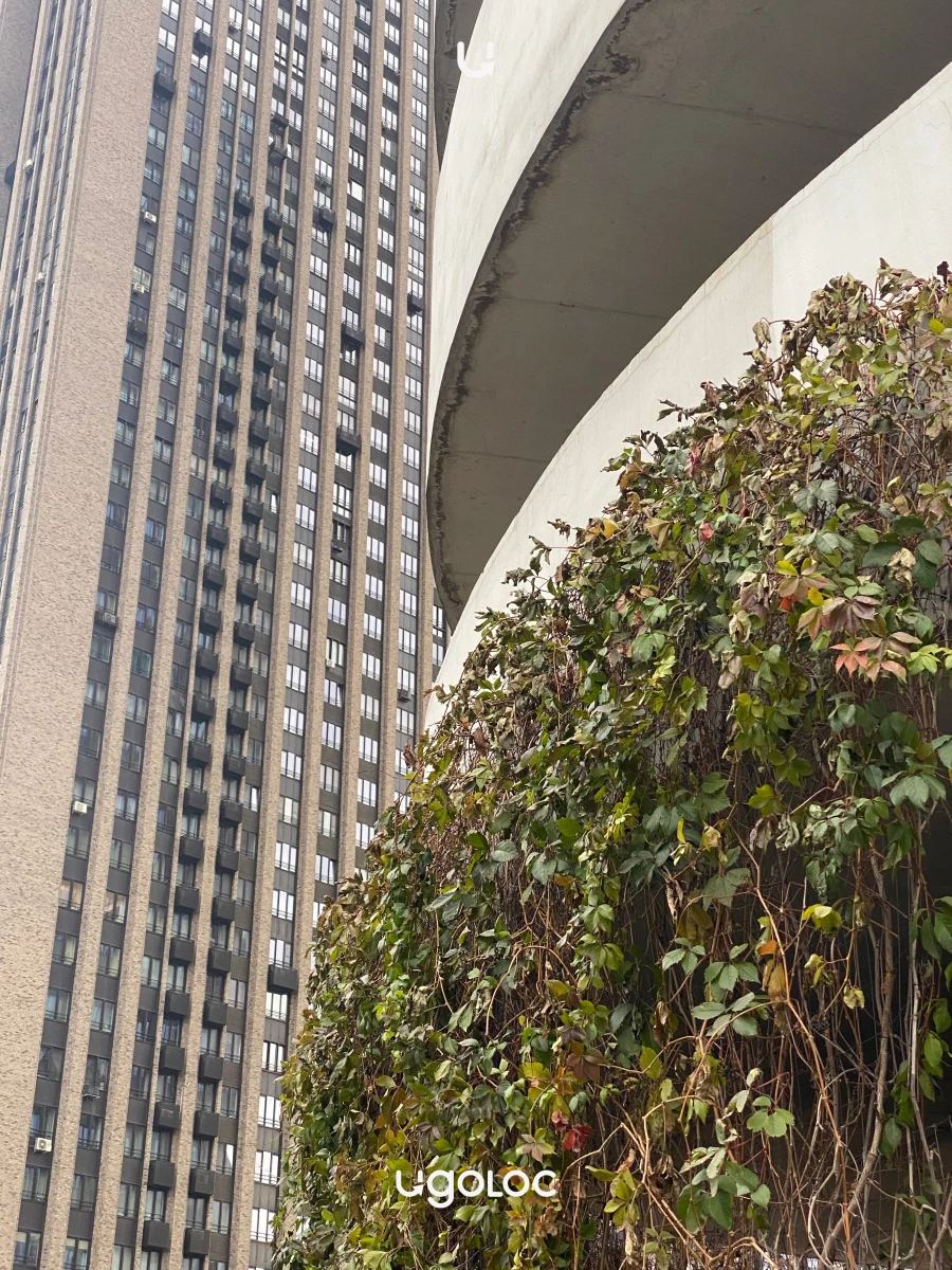 Скейт-парк с граффити