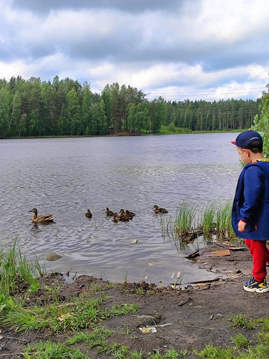 Озеро Трехколодское
