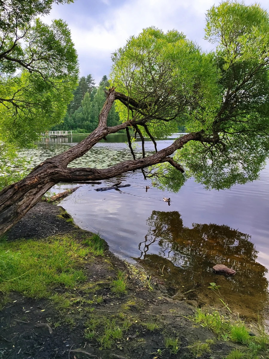 Озеро Трехколодское