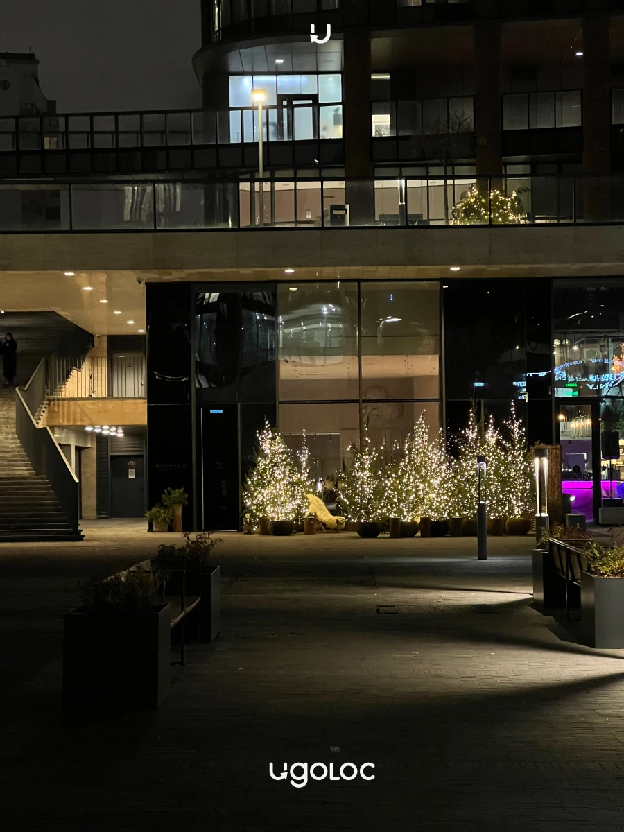 Новогодняя зона на Ефремова