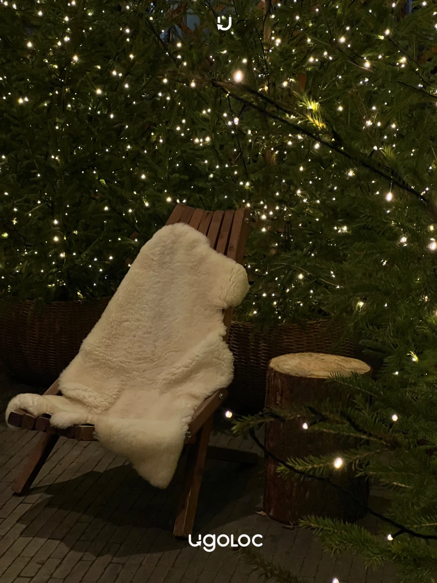 Новогодняя зона на Ефремова