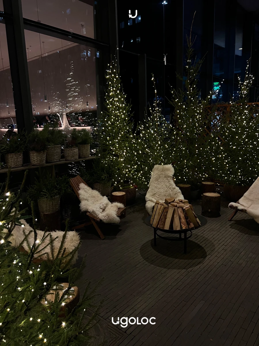 Новогодняя зона на Ефремова